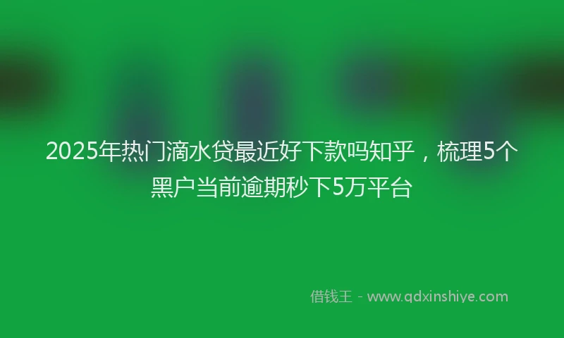 2025年热门滴水贷最近好下款吗知乎，梳理5个黑户当前逾期秒下5万平台