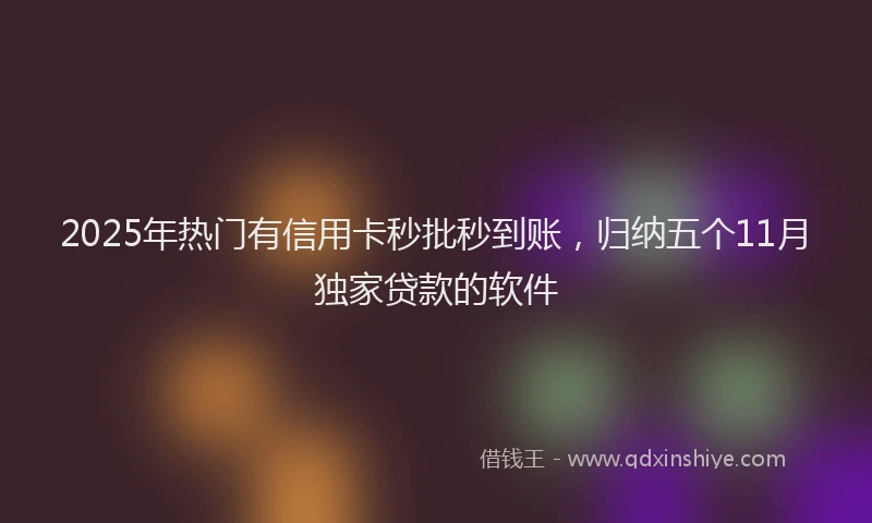 2025年热门有信用卡秒批秒到账，归纳五个11月独家贷款的软件