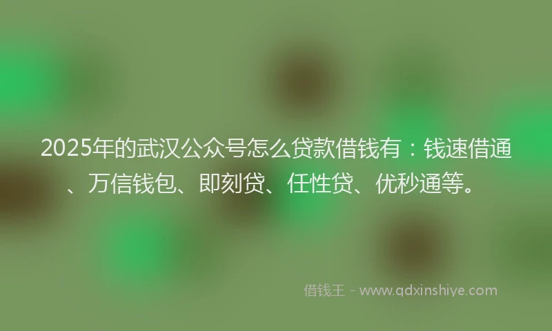 2025年的武汉公众号怎么贷款借钱有：钱速借通、万信钱包、即刻贷、任性贷、优秒通等。