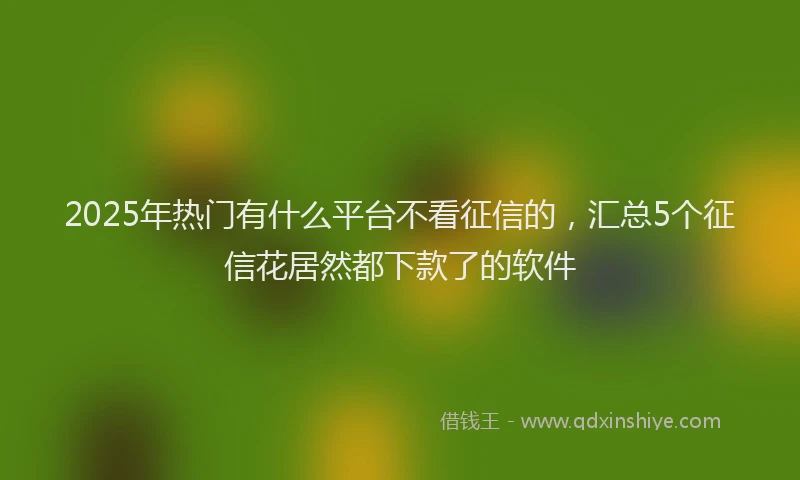2025年热门有什么平台不看征信的，汇总5个征信花居然都下款了的软件