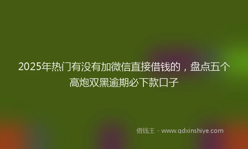2025年热门有没有加微信直接借钱的，盘点五个高炮双黑逾期必下款口子