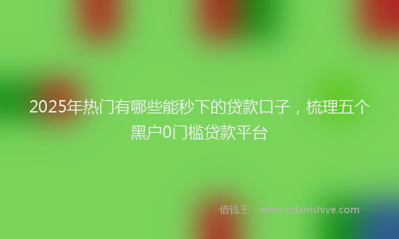 2025年热门有哪些能秒下的贷款口子，梳理五个黑户0门槛贷款平台