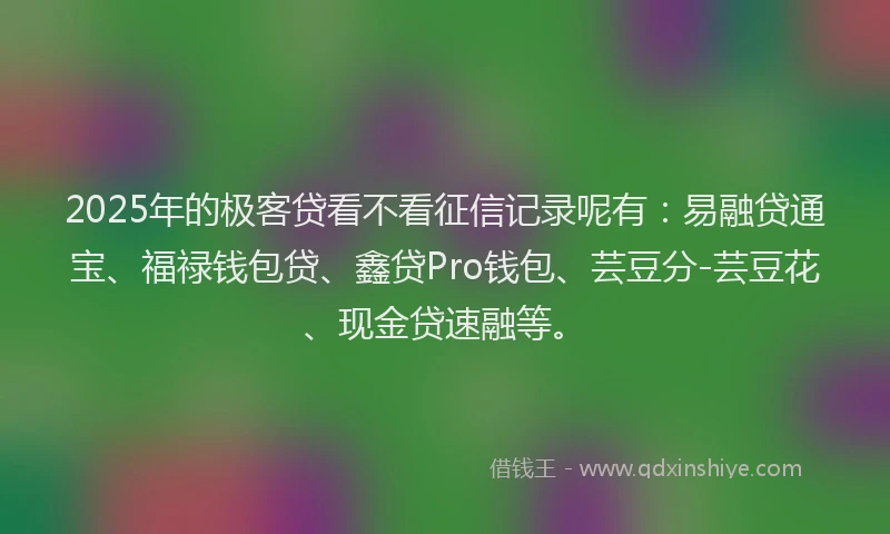 2025年的极客贷看不看征信记录呢有:易融贷通宝、福禄钱包贷、鑫贷Pro钱包、芸豆分-芸豆花、现金贷速融等。