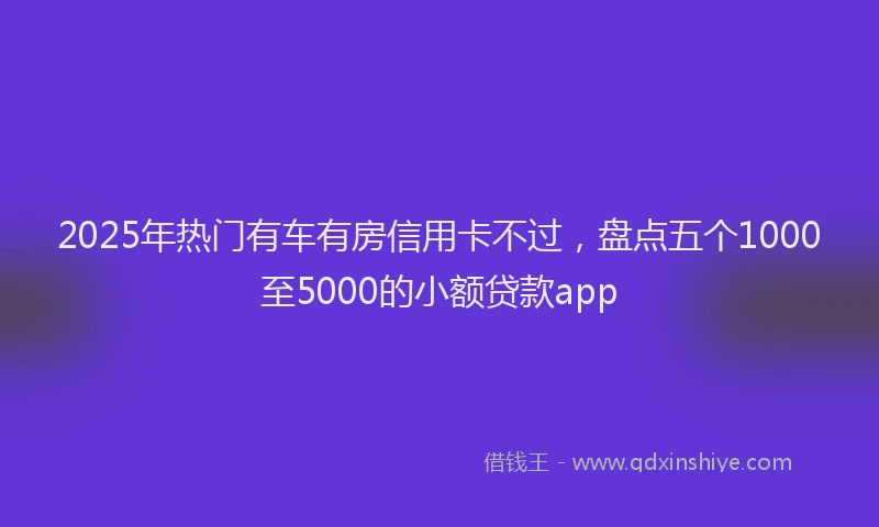 2025年热门有车有房信用卡不过，盘点五个1000至5000的小额贷款app
