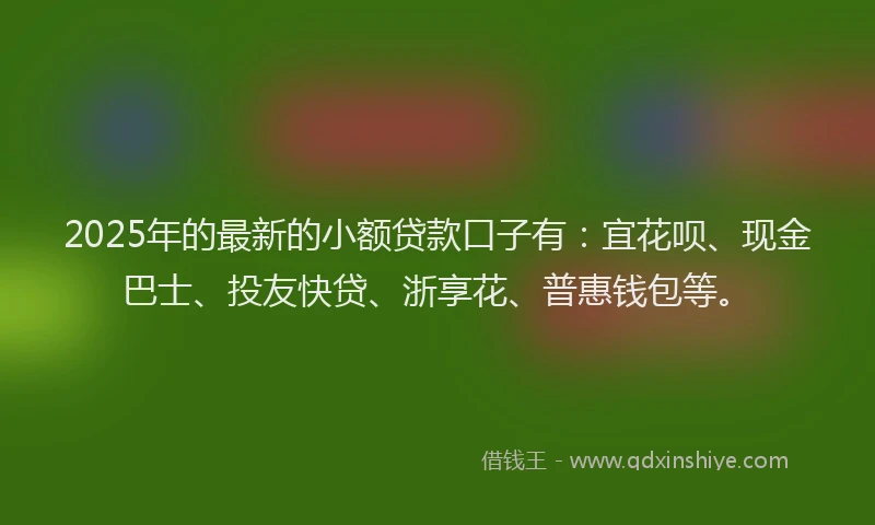 2025年的最新的小额贷款口子有：宜花呗、现金巴士、投友快贷、浙享花、普惠钱包等。