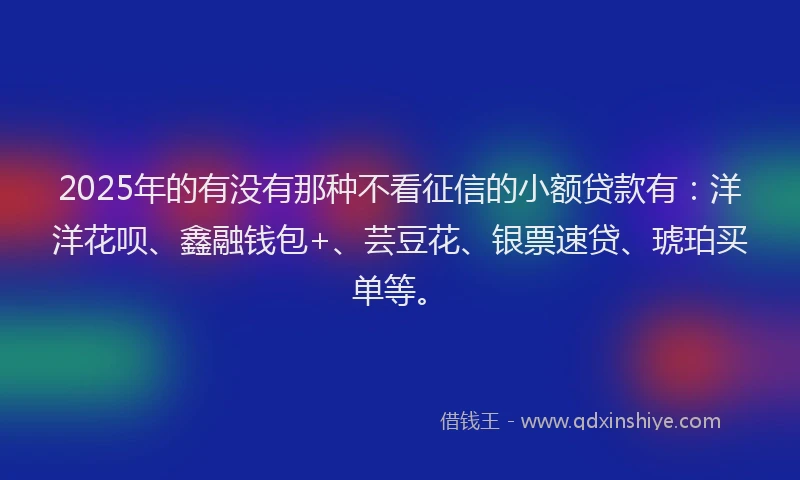 2025年的有没有那种不看征信的小额贷款有：洋洋花呗、鑫融钱包+、芸豆花、银票速贷、琥珀买单等。