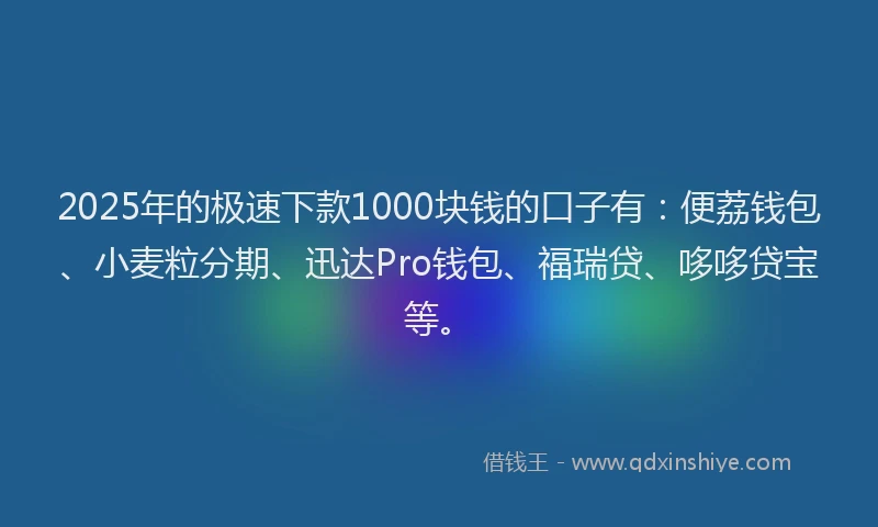 2025年的极速下款1000块钱的口子有：便荔钱包、小麦粒分期、迅达Pro钱包、福瑞贷、哆哆贷宝等。
