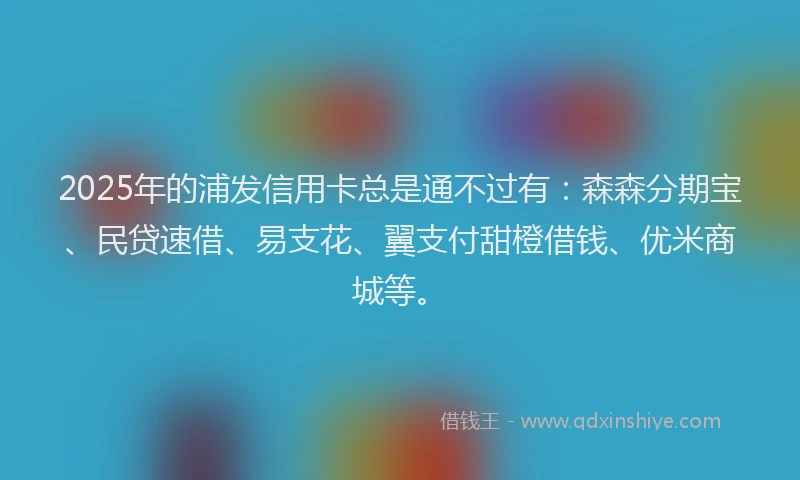 2025年的浦发信用卡总是通不过有：森森分期宝、民贷速借、易支花、翼支付甜橙借钱、优米商城等。