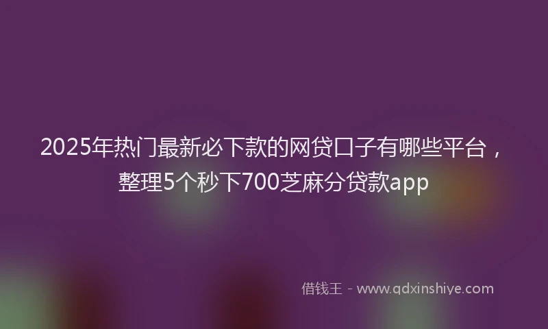 2025年热门最新必下款的网贷口子有哪些平台，整理5个秒下700芝麻分贷款app