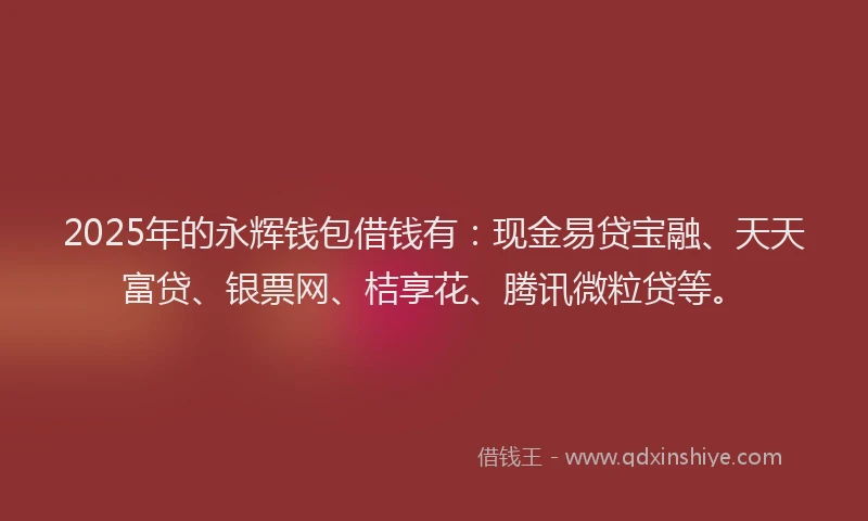 2025年的永辉钱包借钱有：现金易贷宝融、天天富贷、银票网、桔享花、腾讯微粒贷等。