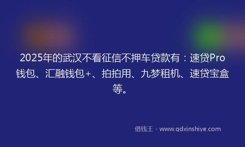 2025年的武汉不看征信不押车贷款有：速贷Pro钱包、汇融钱包+、拍拍用、九梦租机、速贷宝盒等。