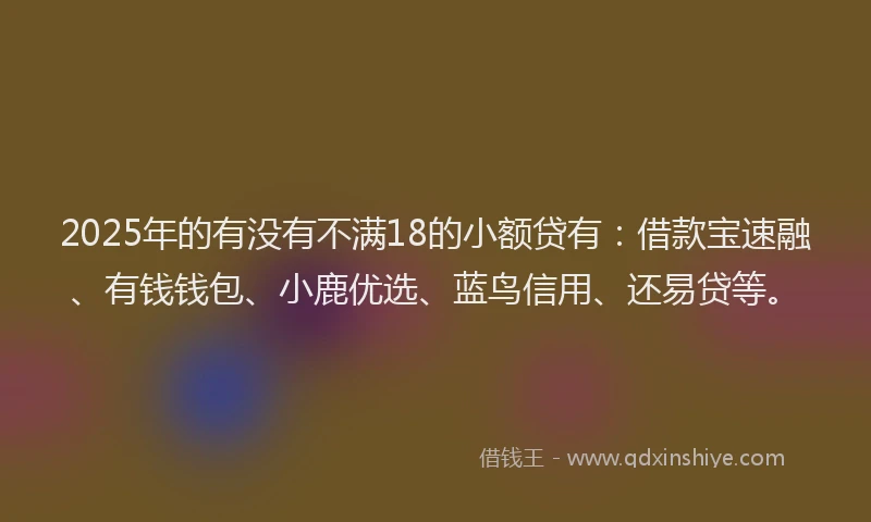 2025年的有没有不满18的小额贷有：借款宝速融、有钱钱包、小鹿优选、蓝鸟信用、还易贷等。