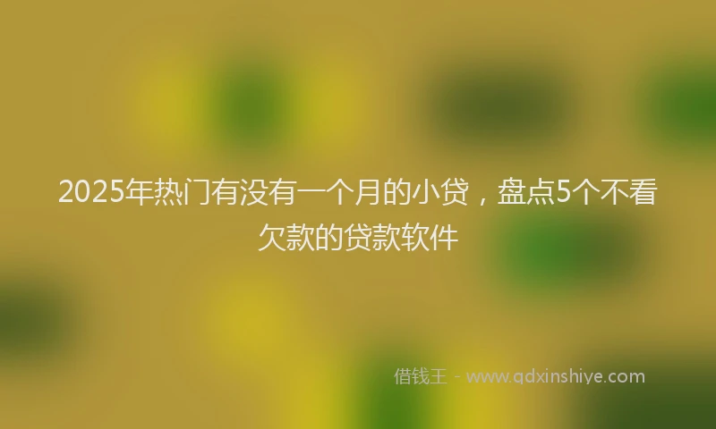 2025年热门有没有一个月的小贷，盘点5个不看欠款的贷款软件