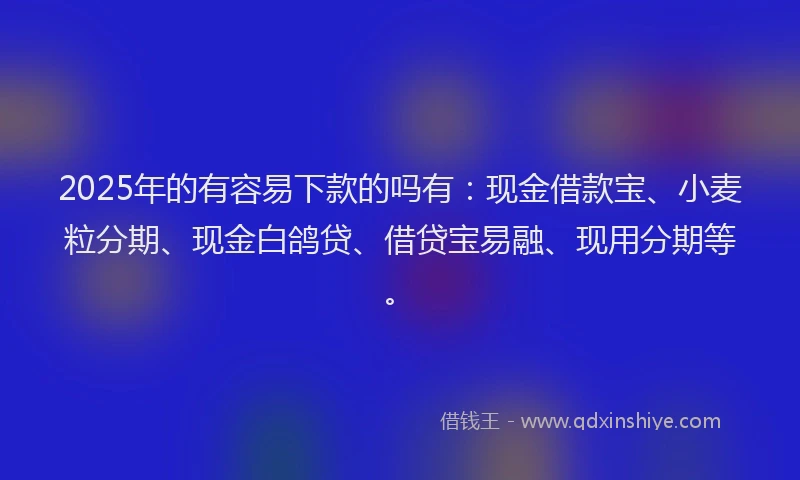 2025年的有容易下款的吗有：现金借款宝、小麦粒分期、现金白鸽贷、借贷宝易融、现用分期等。
