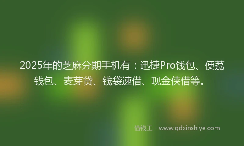 2025年的芝麻分期手机有:迅捷Pro钱包、便荔钱包、麦芽贷、钱袋速借、现金侠借等。