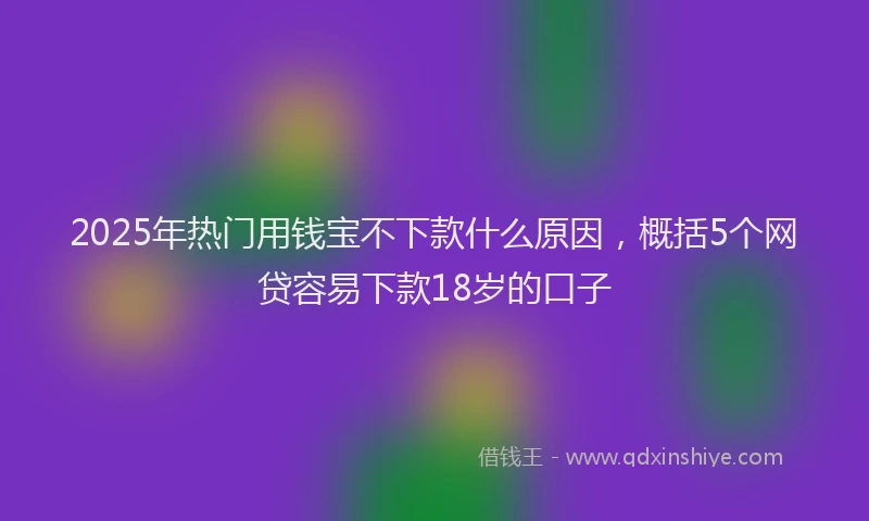 2025年热门用钱宝不下款什么原因，概括5个网贷容易下款18岁的口子