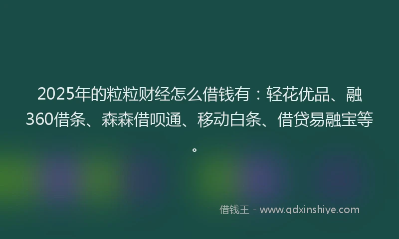 2025年的粒粒财经怎么借钱有：轻花优品、融360借条、森森借呗通、移动白条、借贷易融宝等。