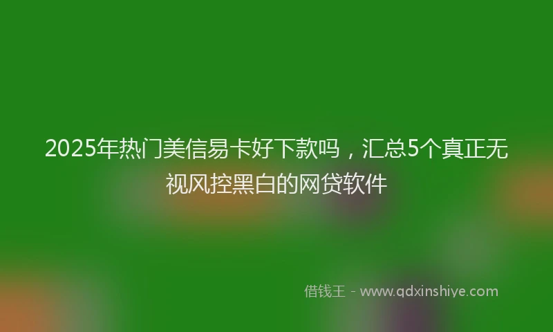 2025年热门美信易卡好下款吗，汇总5个真正无视风控黑白的网贷软件