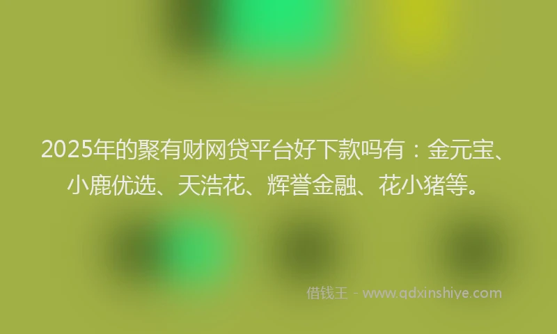 2025年的聚有财网贷平台好下款吗有：金元宝、小鹿优选、天浩花、辉誉金融、花小猪等。