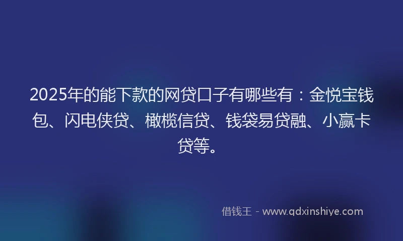 2025年的能下款的网贷口子有哪些有：金悦宝钱包、闪电侠贷、橄榄信贷、钱袋易贷融、小赢卡贷等。