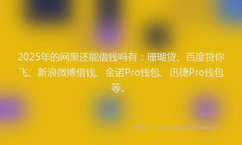 2025年的网黑还能借钱吗有:珊瑚贷、百度贷你飞、新浪微博借钱、金诺Pro钱包、迅捷Pro钱包等。