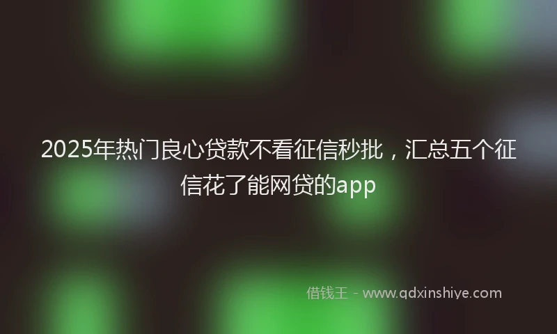 2025年热门良心贷款不看征信秒批，汇总五个征信花了能网贷的app