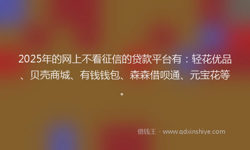 2025年的网上不看征信的贷款平台有：轻花优品、贝壳商城、有钱钱包、森森借呗通、元宝花等。