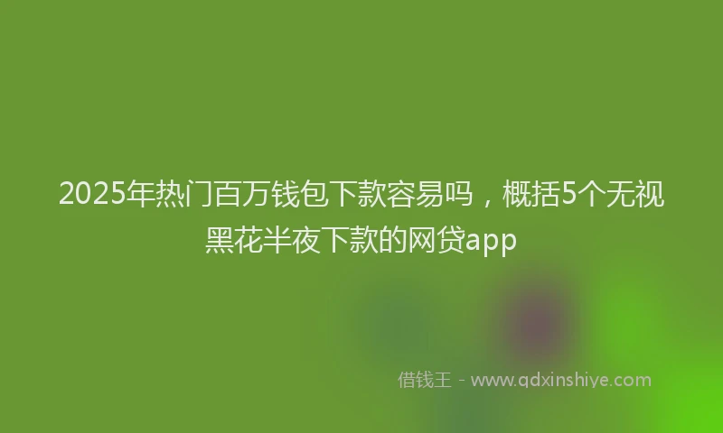 2025年热门百万钱包下款容易吗，概括5个无视黑花半夜下款的网贷app