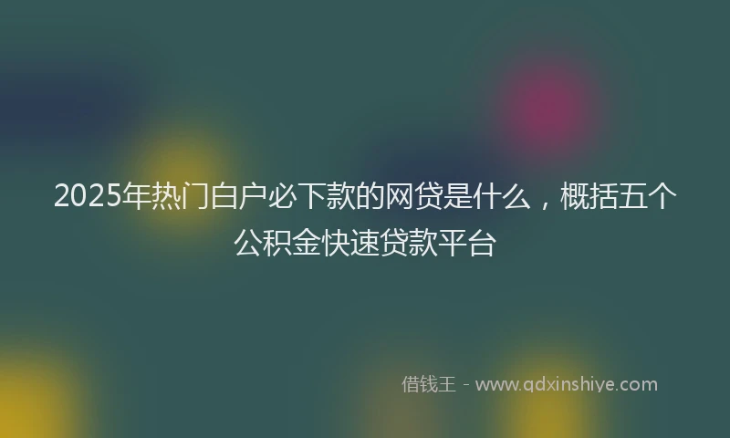 2025年热门白户必下款的网贷是什么，概括五个公积金快速贷款平台