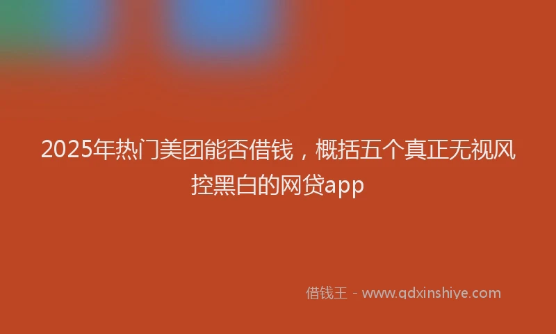 2025年热门美团能否借钱，概括五个真正无视风控黑白的网贷app