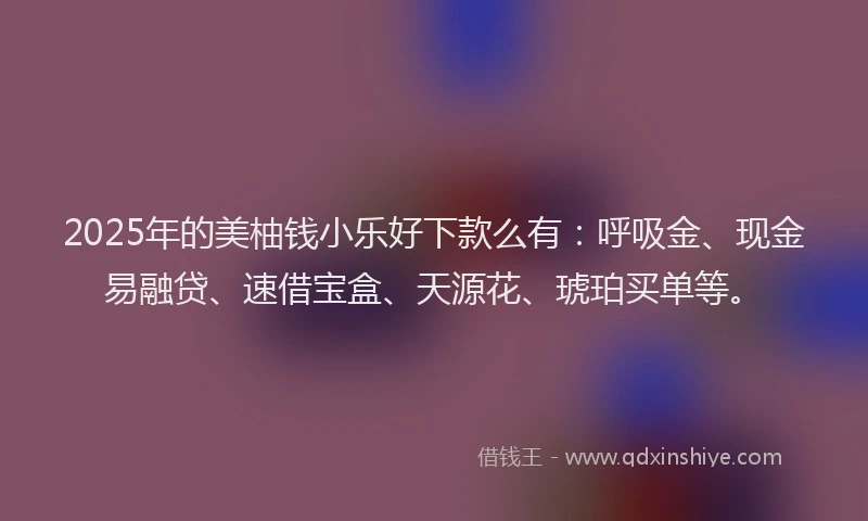 2025年的美柚钱小乐好下款么有：呼吸金、现金易融贷、速借宝盒、天源花、琥珀买单等。