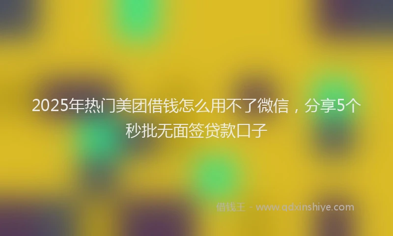 2025年热门美团借钱怎么用不了微信，分享5个秒批无面签贷款口子