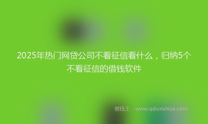 2025年热门网贷公司不看征信看什么，归纳5个不看征信的借钱软件