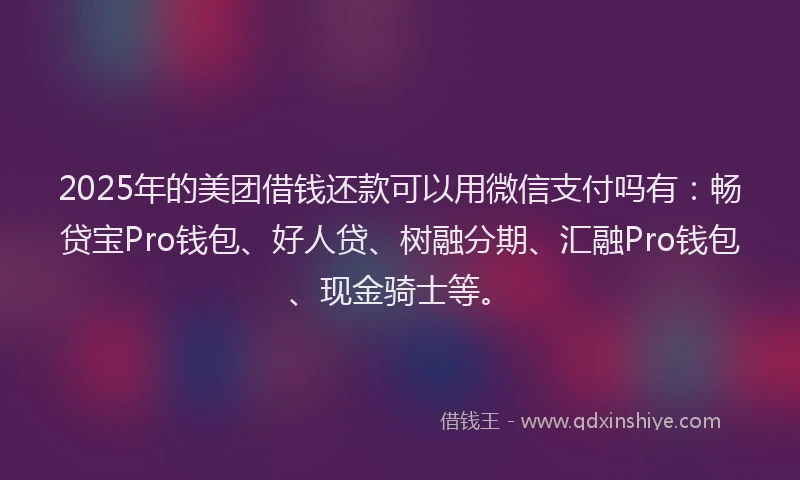 2025年的美团借钱还款可以用微信支付吗有：畅贷宝Pro钱包、好人贷、树融分期、汇融Pro钱包、现金骑士等。