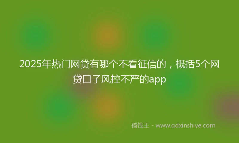 2025年热门网贷有哪个不看征信的，概括5个网贷口子风控不严的app