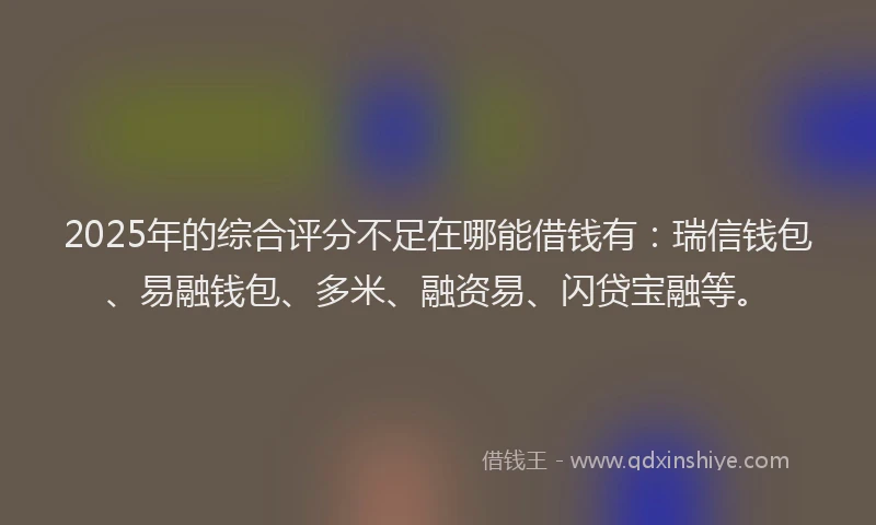 2025年的综合评分不足在哪能借钱有：瑞信钱包、易融钱包、多米、融资易、闪贷宝融等。