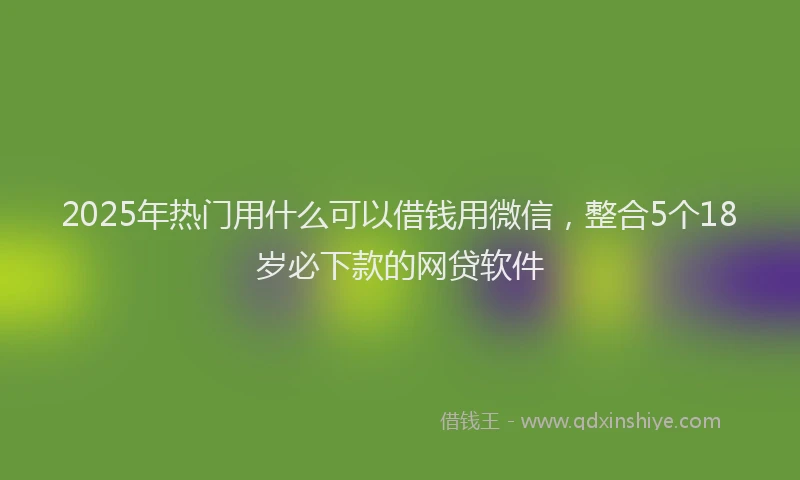 2025年热门用什么可以借钱用微信，整合5个18岁必下款的网贷软件