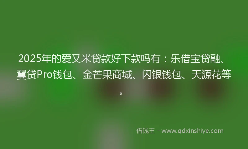 2025年的爱又米贷款好下款吗有：乐借宝贷融、翼贷Pro钱包、金芒果商城、闪银钱包、天源花等。