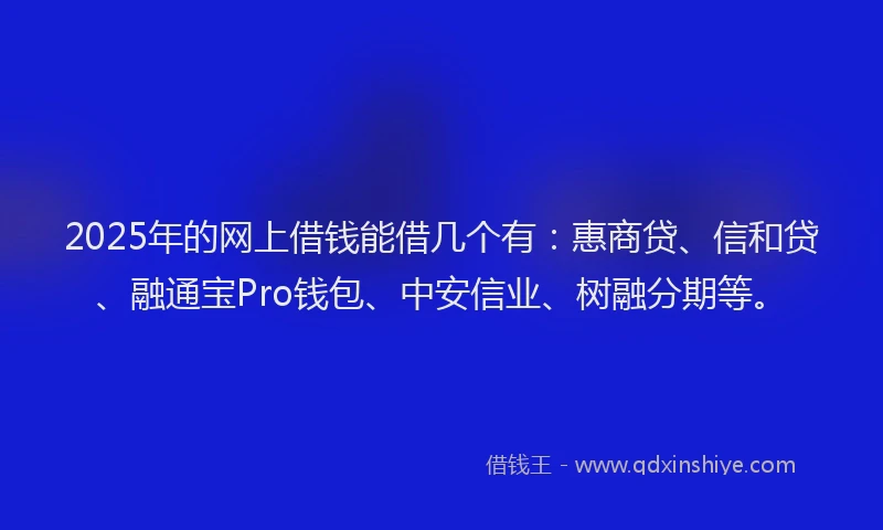 2025年的网上借钱能借几个有：惠商贷、信和贷、融通宝Pro钱包、中安信业、树融分期等。