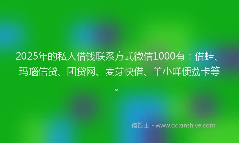 2025年的私人借钱联系方式微信1000有：借蛙、玛瑙信贷、团贷网、麦芽快借、羊小咩便荔卡等。
