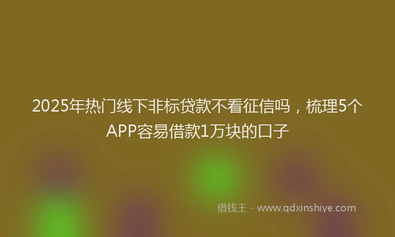 2025年热门线下非标贷款不看征信吗,梳理5个APP容易借款1万块的口子
