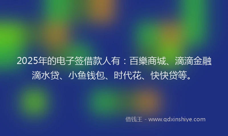 2025年的电子签借款人有：百樂商城、滴滴金融滴水贷、小鱼钱包、时代花、快快贷等。