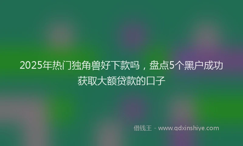 2025年热门独角兽好下款吗，盘点5个黑户成功获取大额贷款的口子