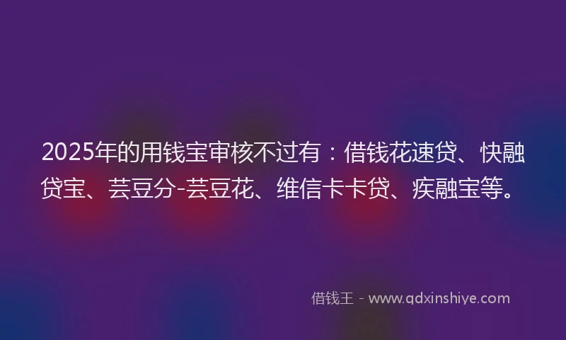 2025年的用钱宝审核不过有：借钱花速贷、快融贷宝、芸豆分-芸豆花、维信卡卡贷、疾融宝等。
