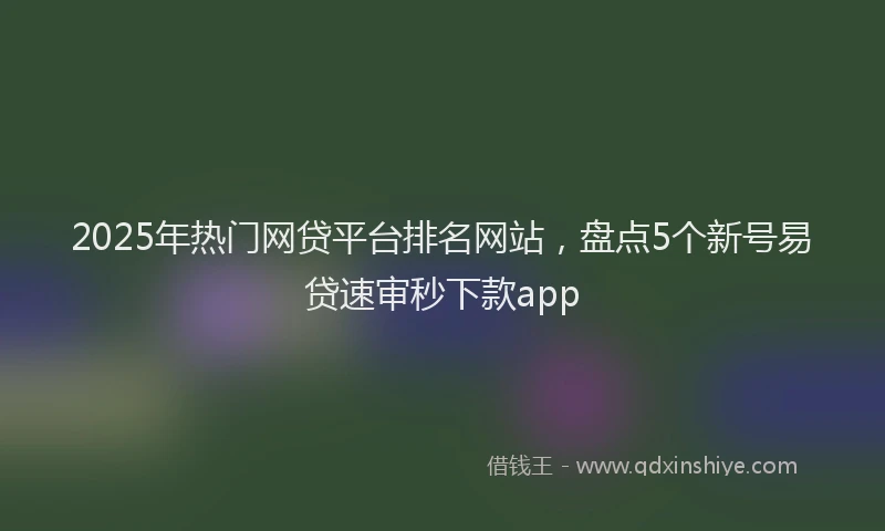 2025年热门网贷平台排名网站，盘点5个新号易贷速审秒下款app