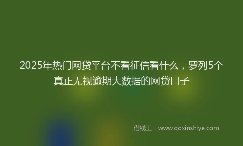 2025年热门网贷平台不看征信看什么，罗列5个真正无视逾期大数据的网贷口子