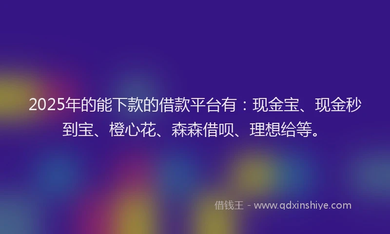 2025年的能下款的借款平台有：现金宝、现金秒到宝、橙心花、森森借呗、理想给等。