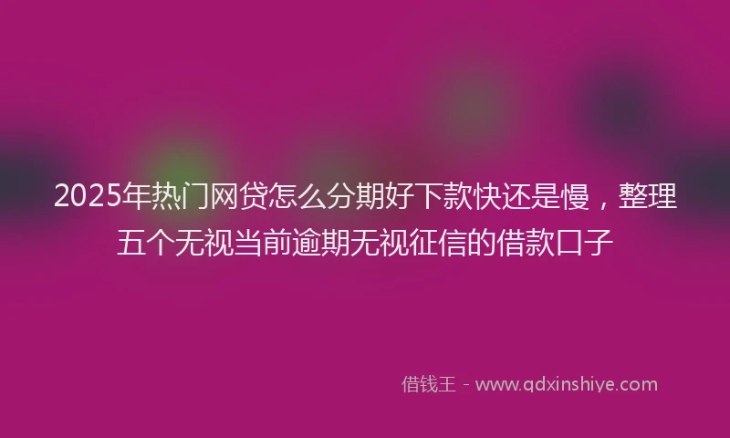 2025年热门网贷怎么分期好下款快还是慢,整理五个无视当前逾期无视征信的借款口子