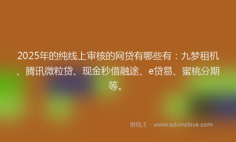 2025年的纯线上审核的网贷有哪些有：九梦租机、腾讯微粒贷、现金秒借融途、e贷易、蜜桃分期等。