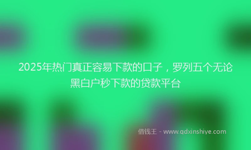 2025年热门真正容易下款的口子，罗列五个无论黑白户秒下款的贷款平台